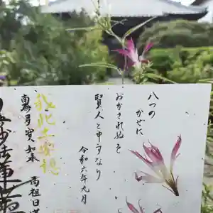 谷中 妙福寺の御朱印 2024年09月27日(金)〜(2024年09月25日(水) 09時52分43秒投稿)