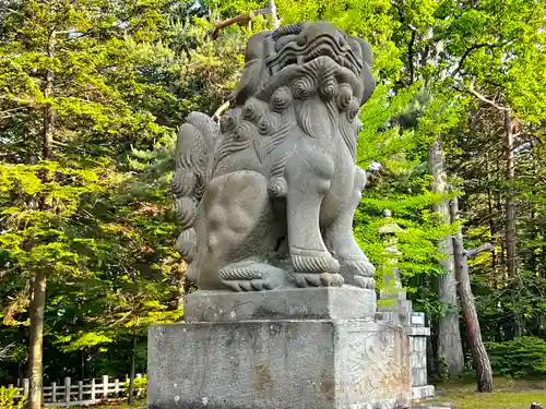 上川神社の狛犬