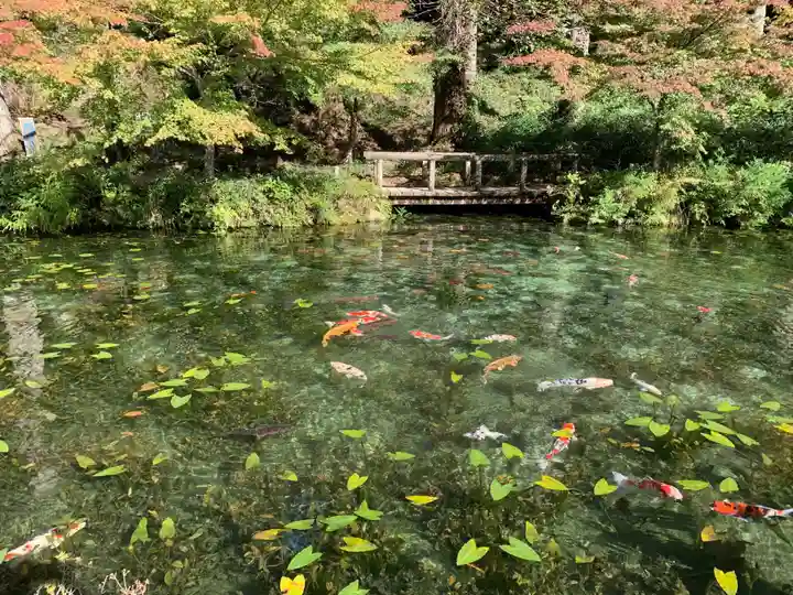 根道神社(岐阜県)