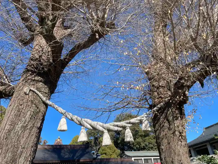 亀ケ池八幡宮(神奈川県)