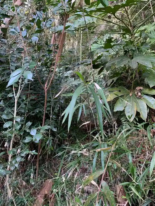 山王神社の自然