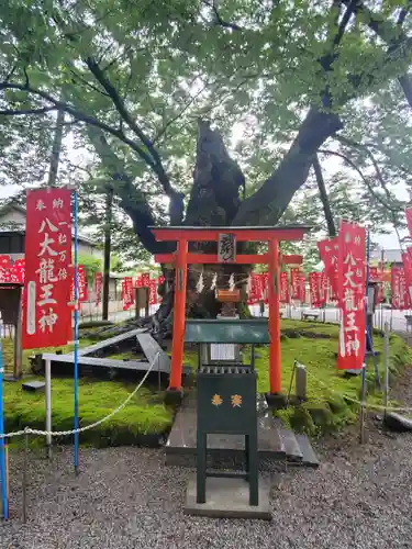 秩父今宮神社の自然