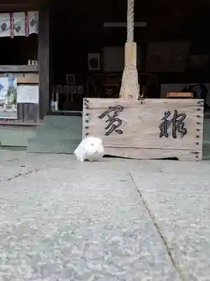 大御和神社(徳島県)