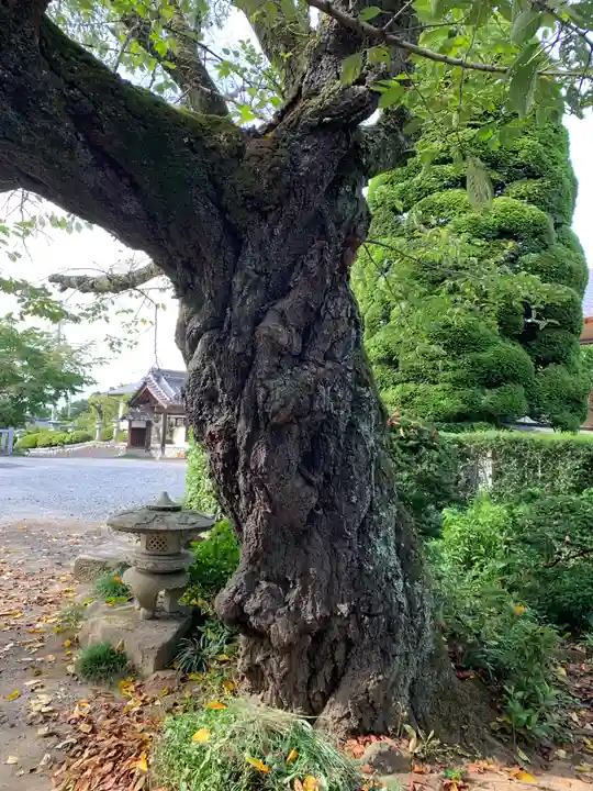 加波山三枝祇神社本宮里宮(茨城県)