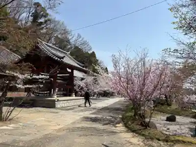 安岡寺(大阪府)