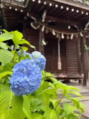 手力雄神社(岐阜県)