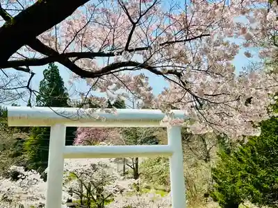 土津神社|こどもと出世の神さまの鳥居