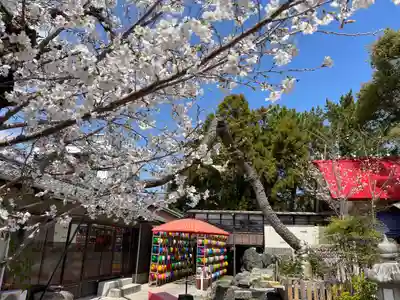 別小江神社(愛知県)