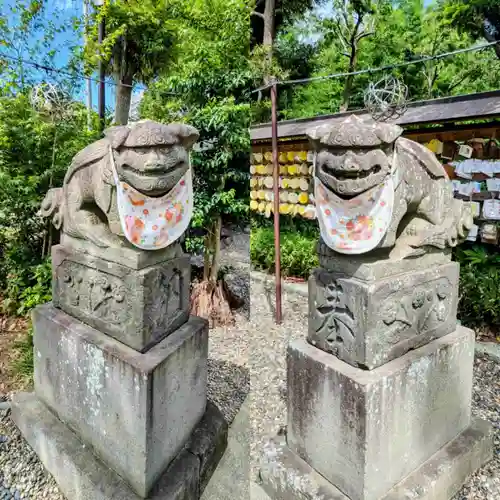 菊田神社の狛犬