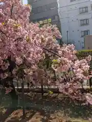 桜神宮(東京都)