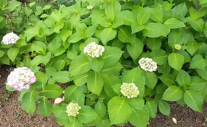 比佐豆知神社(三重県)