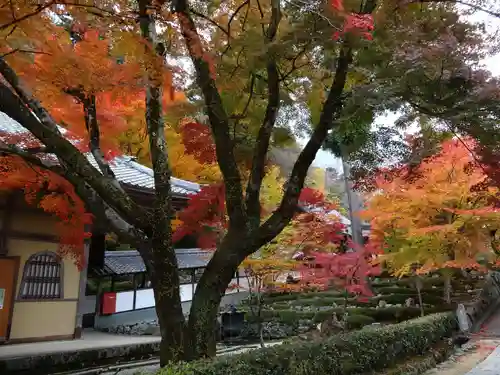 永源寺の庭園