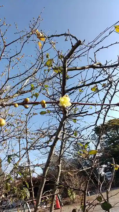 比佐豆知神社(三重県)