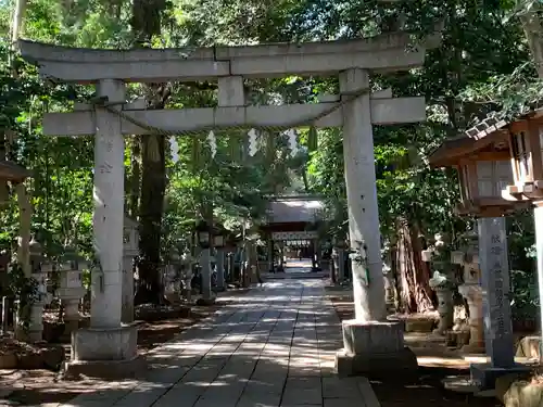 駒木諏訪神社の鳥居