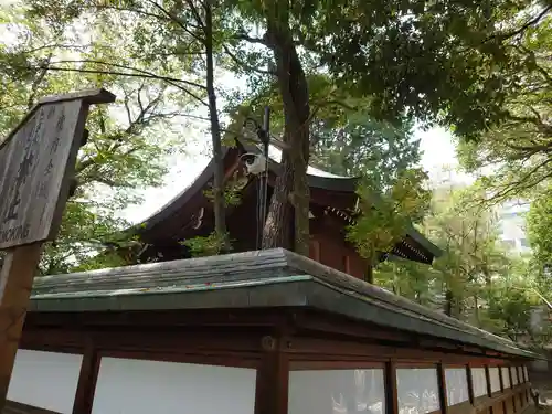 白峯神宮の本殿・本堂