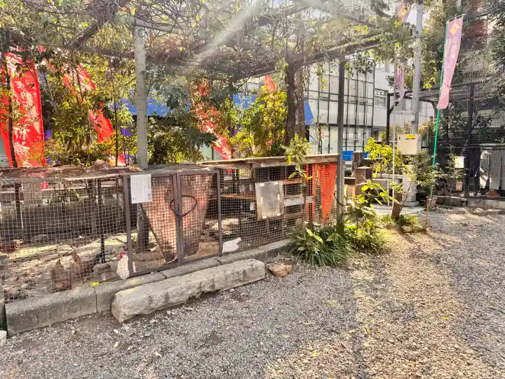 高知大神宮の{uncategorized: "未分類", other: "その他", undefined: "問題あり", building: "その他建物", grave: "お墓", sacred_gate: "鳥居", guardian: "狛犬", statue: "像", buddha: "仏像", history: "歴史", nature: "自然", garden: "庭園", animal: "動物", pagoda: "塔", temizu: "手水舎", mountain_gate: "山門・神門", sanctuary: "本殿・本堂", subordinate: "末社・摂社", art: "芸術", scenery: "景色", jizo: "地蔵", ema: "絵馬", goshuin: "御朱印", omikuji: "おみくじ", items: "授与品その他", amulet: "お守り", goshuincho: "御朱印帳", eats: "食事", festival: "お祭り", votive_dance: "神楽", shichigosan: "七五三参", wedding: "結婚式", experience: "体験その他", initially: "初詣", around: "周辺", anti_infection: "感染症対策"}