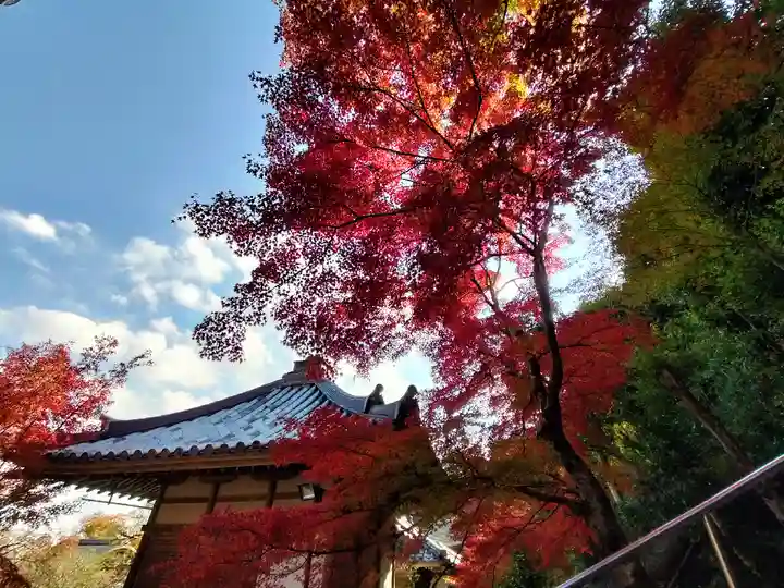 二尊院(京都府)