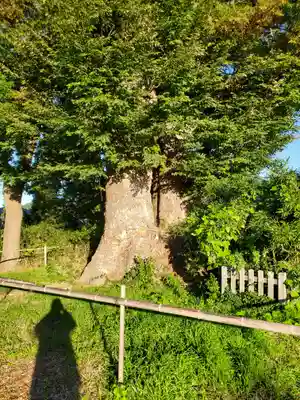 頤氣神社(長野県)