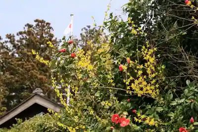 長屋神社の自然