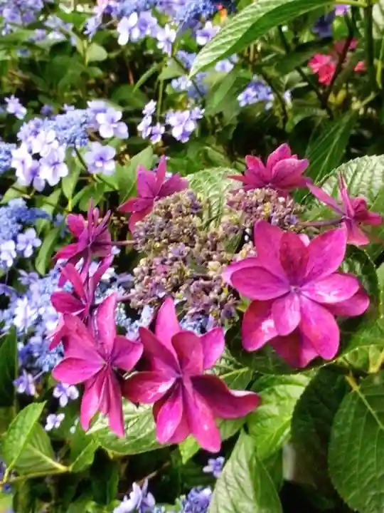 宝祥寺(東京都)