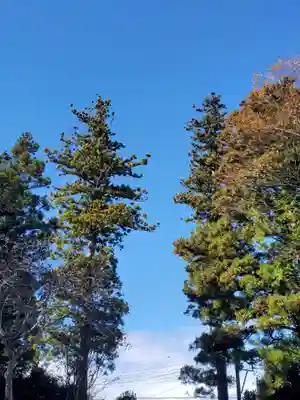 上合寺(福島県)