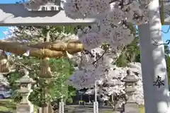 高司神社〜むすびの神の鎮まる社〜の自然