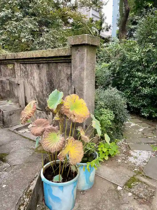 竜谷寺(東京都)