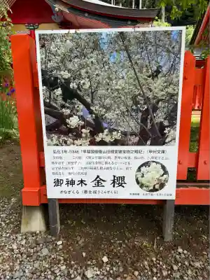金櫻神社(山梨県)