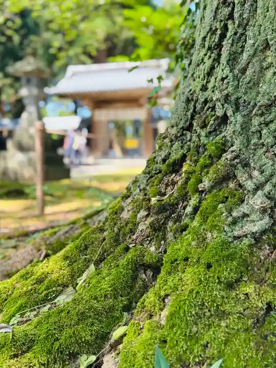 守りの神 藤基神社の庭園