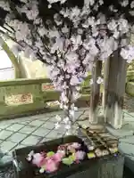 熊野大社の手水舎