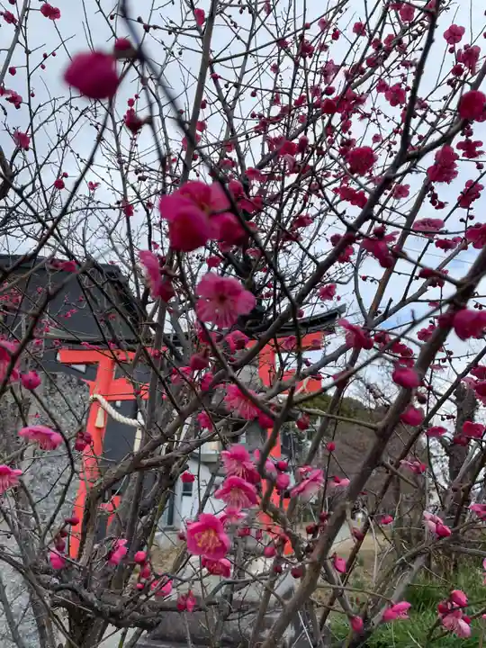 五社神社(京都府)