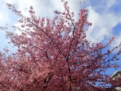 海南神社(神奈川県)