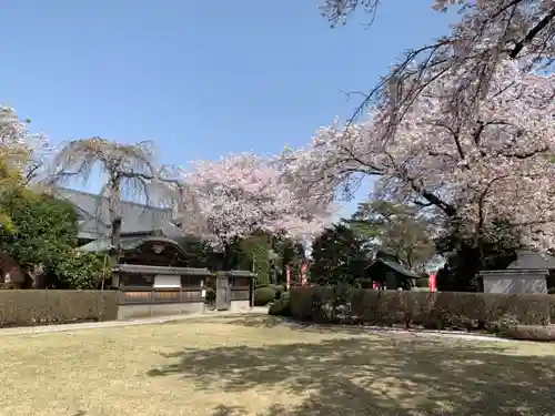 西光院の庭園