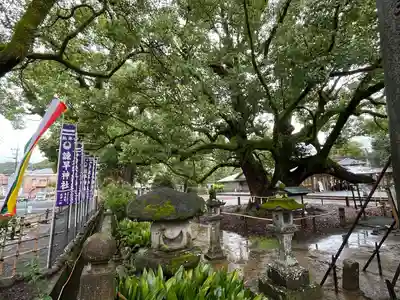 諫早神社（九州総守護  四面宮）(長崎県)