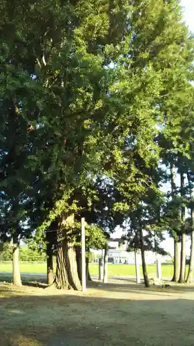 熊野神社の自然