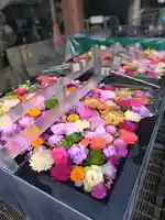 成田山深川不動堂(新勝寺東京別院)(東京都)