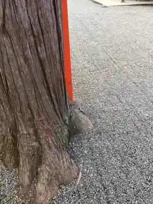 吉田神社(京都府)