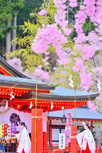 金櫻神社(山梨県)