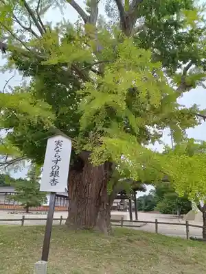 勝興寺(富山県)