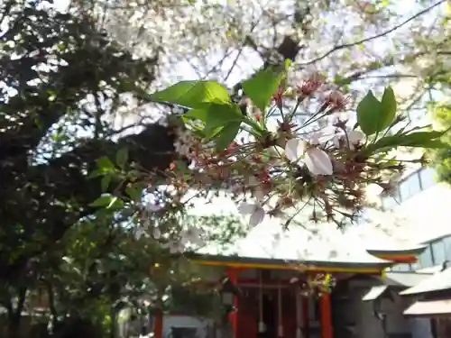 氷川鍬神社の自然