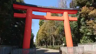 井草八幡宮の鳥居