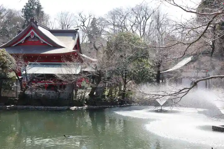 井の頭弁財天(大盛寺)(東京都)