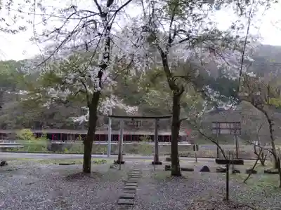 白龍神社(福井県)