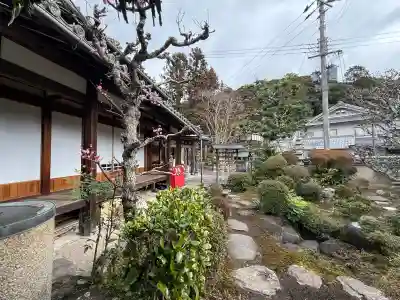 円生院の{uncategorized: "未分類", other: "その他", undefined: "問題あり", building: "その他建物", grave: "お墓", sacred_gate: "鳥居", guardian: "狛犬", statue: "像", buddha: "仏像", history: "歴史", nature: "自然", garden: "庭園", animal: "動物", pagoda: "塔", temizu: "手水舎", mountain_gate: "山門・神門", sanctuary: "本殿・本堂", subordinate: "末社・摂社", art: "芸術", scenery: "景色", jizo: "地蔵", ema: "絵馬", goshuin: "御朱印", omikuji: "おみくじ", items: "授与品その他", amulet: "お守り", goshuincho: "御朱印帳", eats: "食事", festival: "お祭り", votive_dance: "神楽", shichigosan: "七五三参", wedding: "結婚式", experience: "体験その他", initially: "初詣", around: "周辺", anti_infection: "感染症対策"}