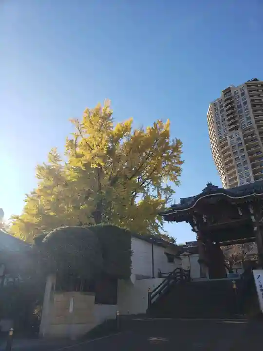 善福寺(東京都)