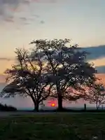 浄土寺(兵庫県)