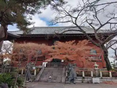 養玉院如来寺(東京都)