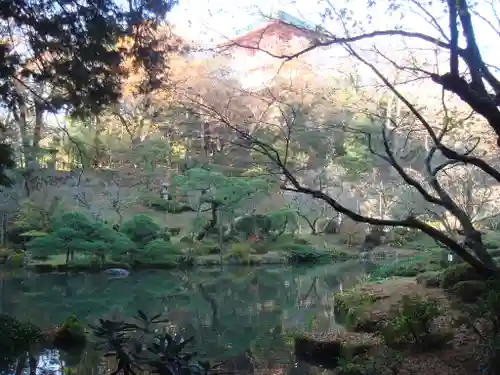 成田山新勝寺の庭園