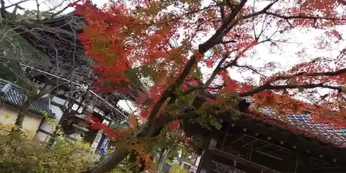 松尾大社の自然