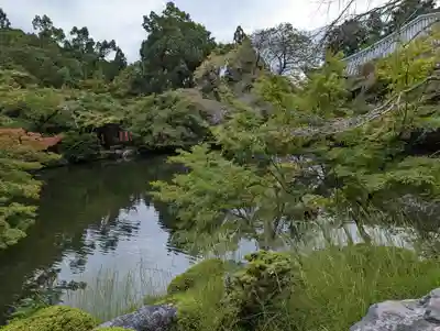 醍醐寺(京都府)